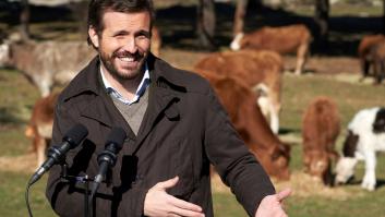 El PP lanza una campaña sobre la ganadería y Twitter alerta de su sospechoso parecido
