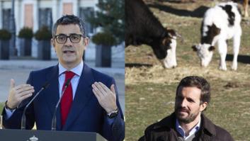 Bolaños se pronuncia en estos términos sobre las fotos del PP con vacas