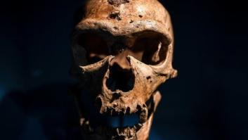 Descubierta la primera hija de dos especies humanas diferentes, neandertal y denisovano
