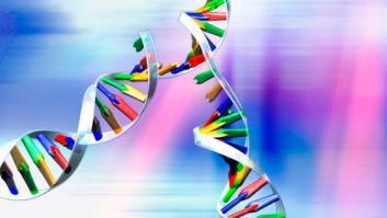 La técnica CRISPR-Cas9 puede provocar cientos de mutaciones indeseadas, según un nuevo estudio