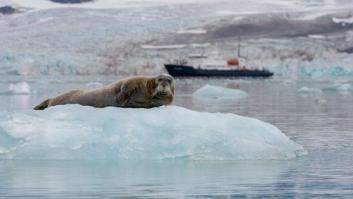 Los glaciares del océano Ártico sufren los efectos del calentamiento global