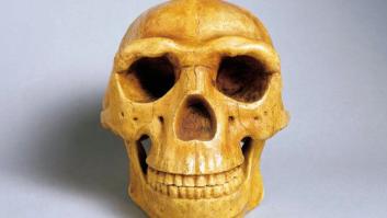 La pereza ayudó a la extinción del 'Homo erectus', según un estudio