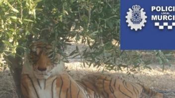 Un vecino de Murcia se lleva el susto de su vida por culpa de un tigre
