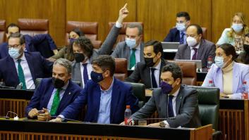 El PSOE-A se abstiene en la ley sobre Doñana que censuran la UE, el Gobierno y los ecologistas