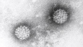 ¿Por qué la prevención es clave contra el Virus del Papiloma Humano?