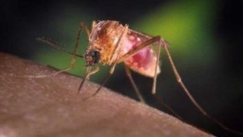 Acabemos con el paludismo para siempre