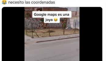 La escena captada en Google Maps que lleva casi dos millones de reproducciones: "Es una joya"