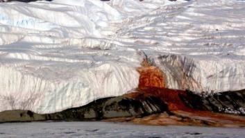 Resuelto el misterio de las cataratas de sangre de la Antártida