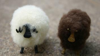 9 ventajas de ser una oveja negra
