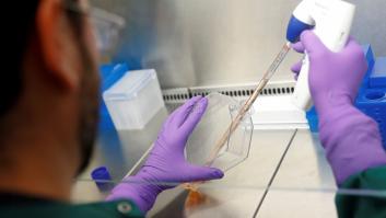 Científicos de Barcelona y Helsinki consiguen crear células que fabrican insulina