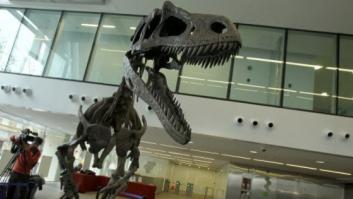 Gualicho, el dinosaurio carnívoro de Patagonia con los mismos brazos que el T. Rex