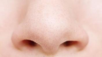 La forma de la nariz fue modelada por el clima