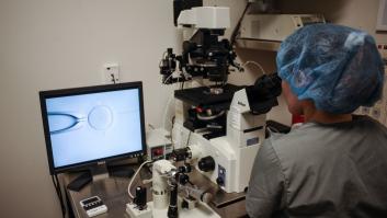 Un estudio consigue predecir en un 99% el riesgo de enfermedades comunes en embriones fecundados in vitro