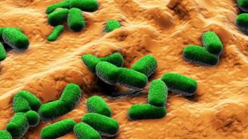 Cómo luchar contra el auge de las superbacterias