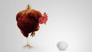 ¿Te atreves con el problema de los huevos y las gallinas?