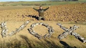 "Qué horror": Un cazador indigna al formar la palabra "Vox" con conejos muertos