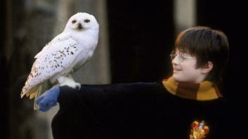 La genial solución de un fan de 'Harry Potter' para resucitar a un querido personaje