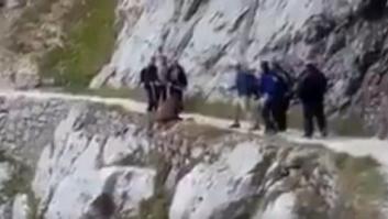 Un grupo de senderistas despaña a un jabalí en los Picos de Europa
