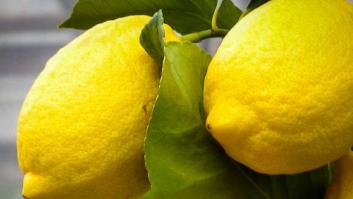 Chupar un limón, el nuevo reto viral con fines solidarios