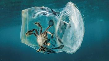 Más de un millón de botellas al día: las cifras de la contaminación marina