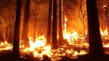 Cómo actuar si te sorprende un incendio forestal