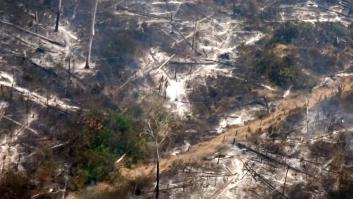 La deforestación en la Amazonia alcanza su récord en 12 años