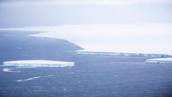 Un enorme iceberg amenaza el mayor refugio de pingüinos rey del planeta