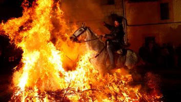 PACMA denuncia que se obliguen a los caballos a atravesar hogueras por el día de las Luminarias