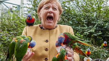 Los momentos más virales de Angela Merkel como canciller de Alemania