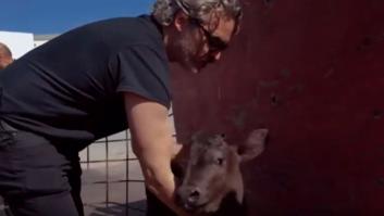 Joaquin Phoenix rescató a una vaca y a su cría el día después de ganar el Oscar
