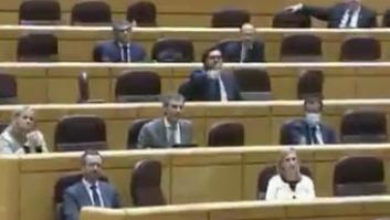 Los senadores del PP se levantan y se van indignados por el discurso de un miembro de Más Madrid