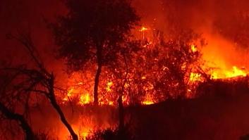 Estabilizado el incendio de Huelva, que ha afectado a 12.000 hectáreas