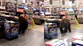 Un oso se cuela en un supermercado del norte de California