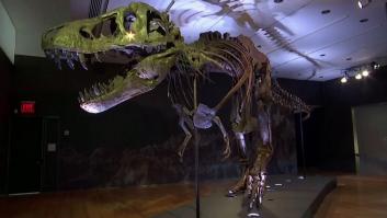 El T. Rex Stan se convierte en el fósil de dinosaurio más caro vendido hasta el momento