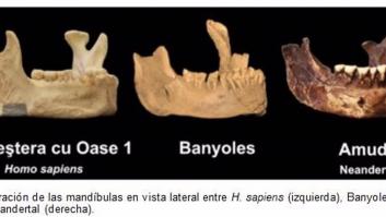 El primer Homo Sapiens descubierto en Europa vivió en la Península Ibérica