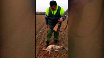 Mata a golpes a su perro y lo tira a la basura en La Rioja (vídeo)