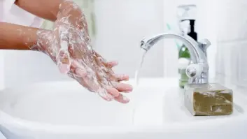 ¿Importa el tipo de jabón o desinfectante que usemos?