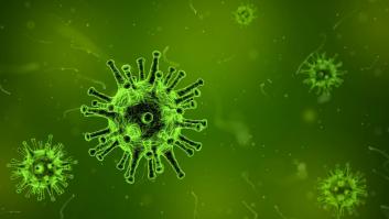 Los científicos descubren el primer virus microscópico que devora virus