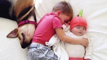 El perro y el niño que dormían la siesta juntos han crecido... y tienen compañía (FOTOS)