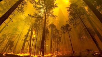 11 imágenes impactantes del incendio que arrasa el Parque Nacional de Yosemite (FOTOS)
