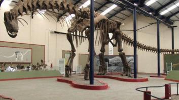 Así caminaba el mayor de los dinosaurios (VIDEO)
