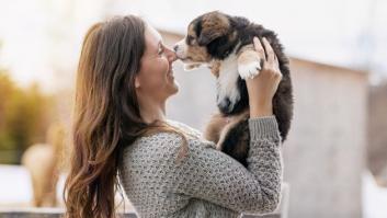 La atención de tu perro mejora si le hablas con voz de bebé