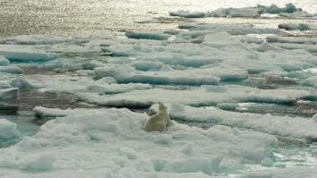 Volvemos a navegar por el Ártico para pedir su protección