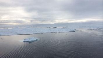 El 74% del mundo quiere la protección del Ártico