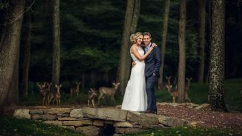 Esto es lo que pasa cuando unos ciervos se cuelan en una foto de boda