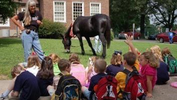 El burro del presidente Washington era de Zamora