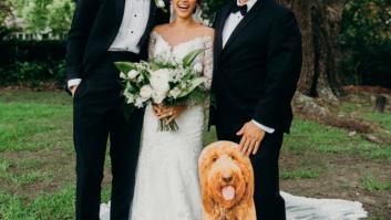 El perro no podía ir a su boda, pero el padre de la novia se las ingenió para llevarlo