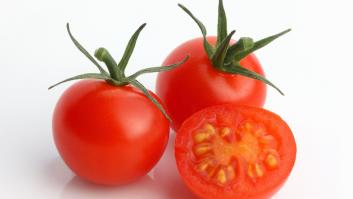 La anomalía térmica mata al virus del tomate