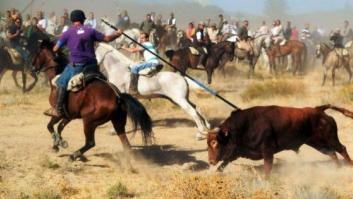 Castilla y León deniega a Tordesillas el permiso para celebrar el Toro de la Vega