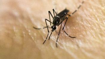 Detectado en Madrid el primer caso de Zika por transmisión sexual en España